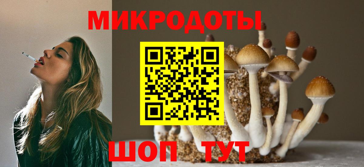 Псилоцибиновые грибы ЛСД Новокубанск