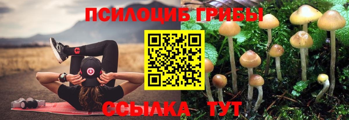 Галлюциногенные грибы Magic Shrooms  Галлюциногенные грибы MAGIC MUSHROOMS  Вход с VPN  Новокубанск 
